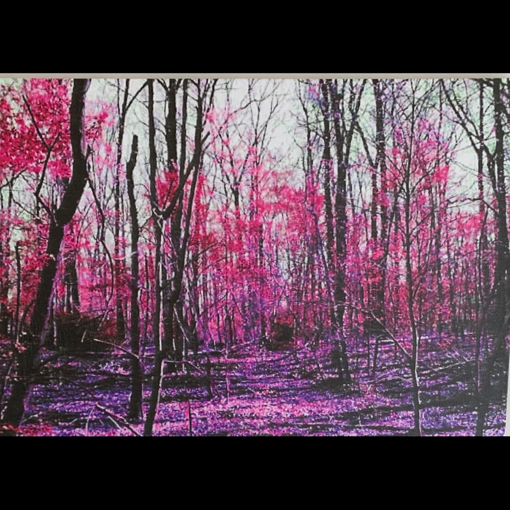 Digital Art Photo on Canvas